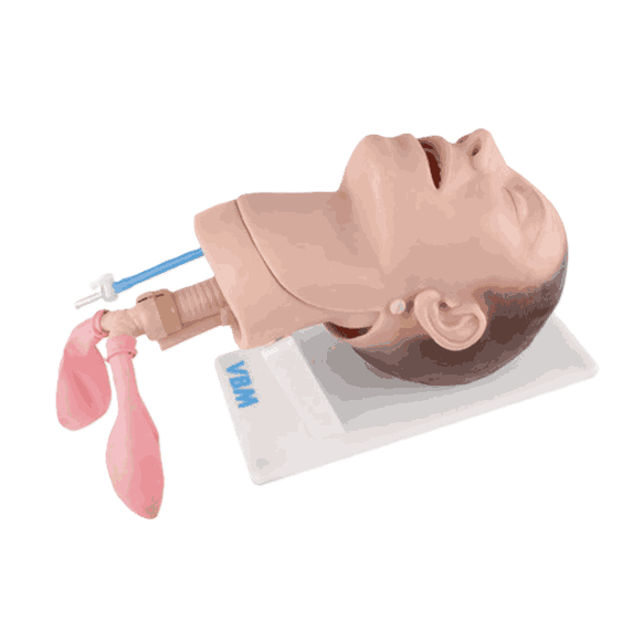 BILL III gjennomsiktig.png