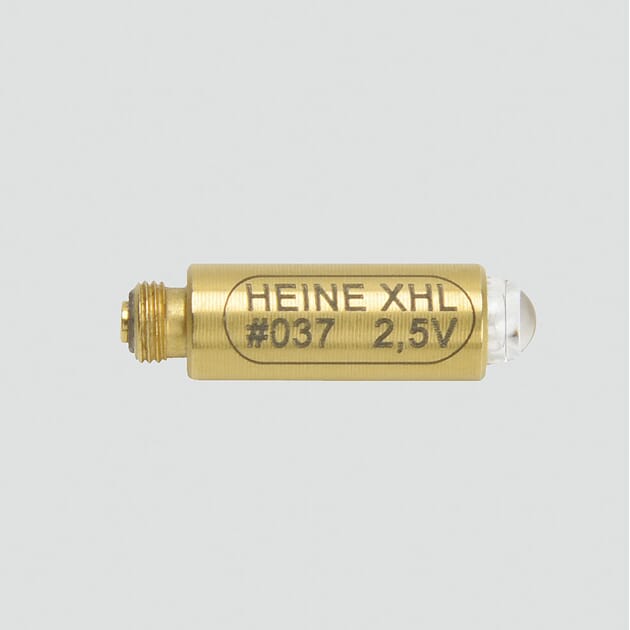 Heine X.001.88.037.jpg